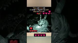 💗❤️❣️❤️💗