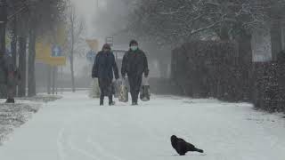 Kolejny epizod śnieżny w Kaliszu (umiarkowane oraz intensywne opady śniegu) - 30.01.2021r.