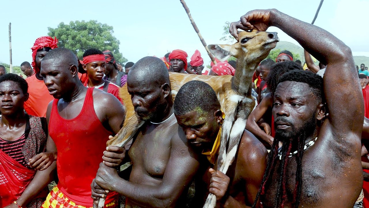 Aboakyer Festival 2024: The Ultimate Deer Hunting Experience