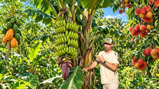 5 Years Growing a Tropical Food Forest in Australia