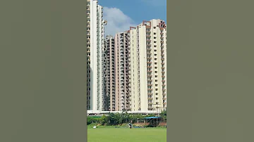 Corporate Cricket Tournament Cricket Cricketlover Cpl Ipl Ipl2025 