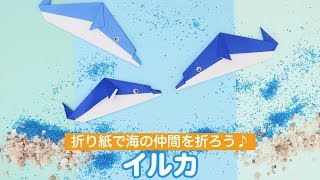 折り紙で海の仲間を折ろう♪イルカの折り方