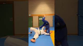 Uchi Mata and Hane Goshi do throws with diving. #uchimata #hanegoshi #judothrow #judotraining #bjj