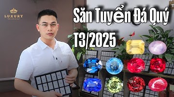 Săn tuyển Đá Quý chất lượng Sapphire, Spinel, Ruby, Aqua Tháng 3/2025