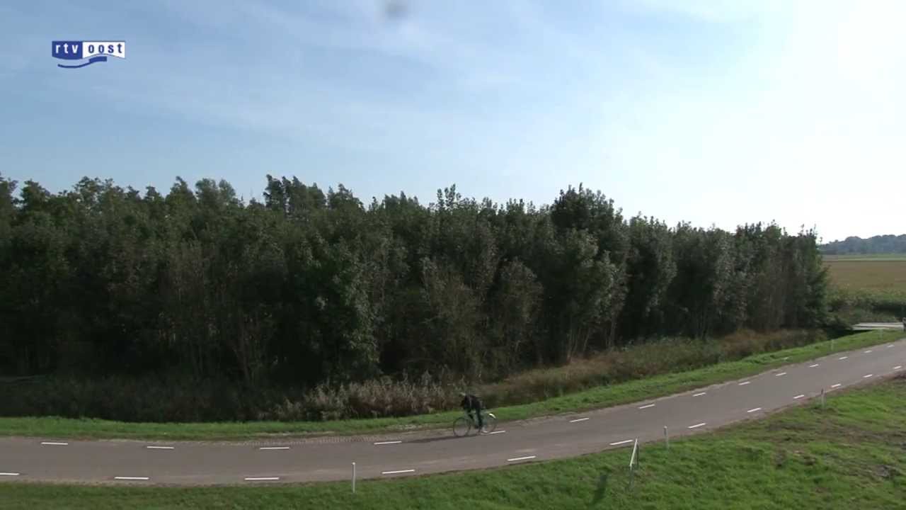 3 hectare bos versnipperd voor verwarming zwembad