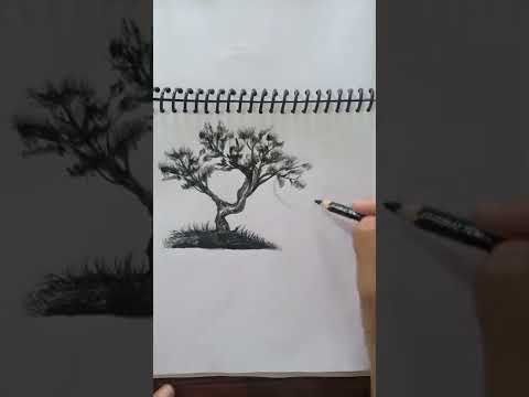 60 second charcoal drawing 