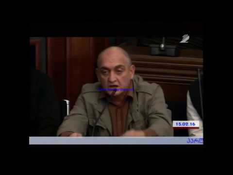 გამოსვლა პარლამენტში, ჯემალ გუნდიშვილი