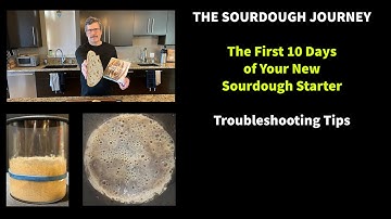 The First 10 Days of Your New Sourdough Starter: Troubleshooting Tips