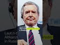 AfD-Politiker und deutsche Unternehmer besuchen Putins Wirtschaftsforum