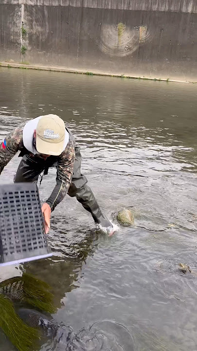 Tinakloban nang basket