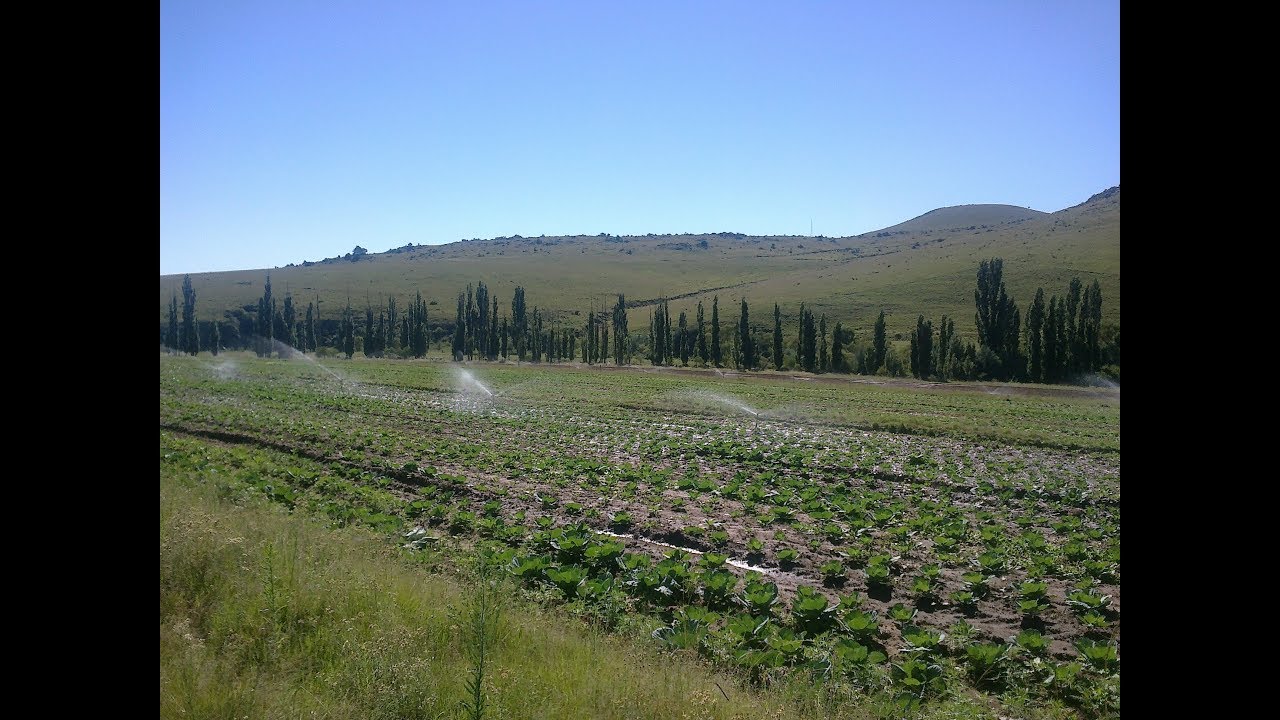 Farm For Sale Cathcart District prop24 YouTube