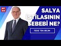 Deniz salyaları neden Marmara Denizi'ne akın etti? | Teke Tek Bilim - 23 Mayıs 2021