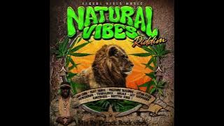 Natural Vibes Riddim Mix 2024 Jah cure, Busy Signal, Pressure, Lutan Fyah, Power Man, Turbulence,