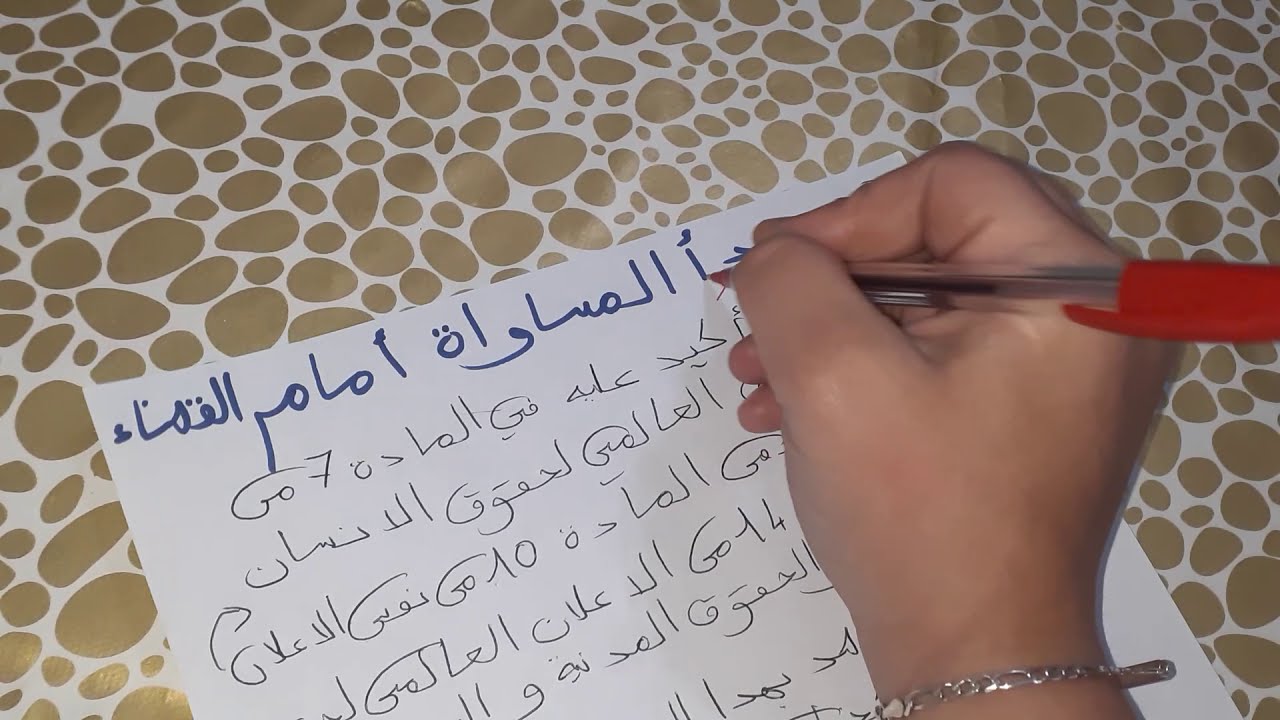 مبدأ المساواة امام القضاء و مبدأ حق المتقاضي في محاكمة عادلة و مبدأ حق اللجوء إلى القضاء