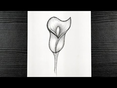 Featured image of post Flower Drawing In Pencil Easy
