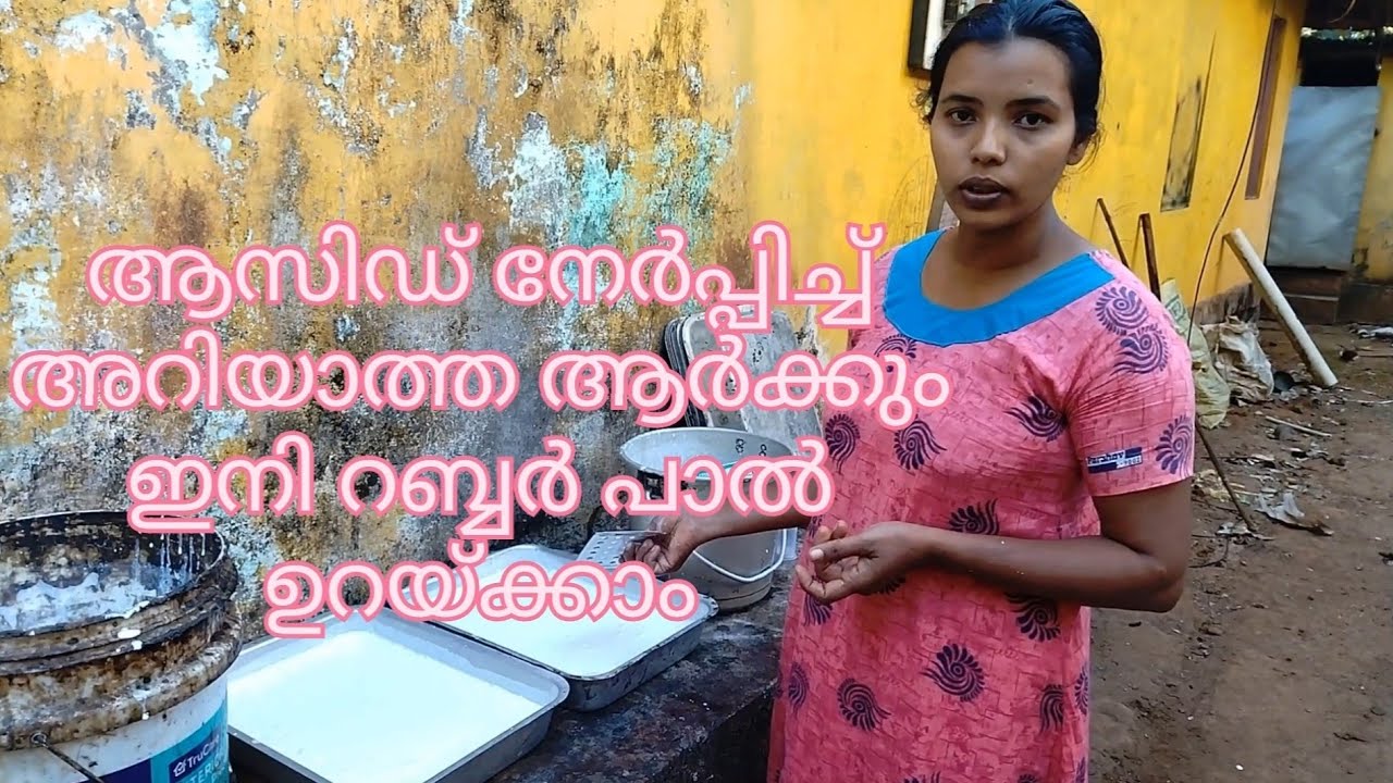 @ 100 % easy ആയി ആസിഡ് നേർപ്പിച്ച് റബ്ബർ പാൽ ഉറയ്ക്കാം.. അറിയാത്തവർക്കായി