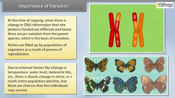 Importance of Variation | How Do Organisms Reproduce? | Science| Cl 10 iPrep