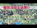 【種苗法改正延期】品種の多様性を守れるか？/著作権、特許フリーの世界へ飛び出そう!!