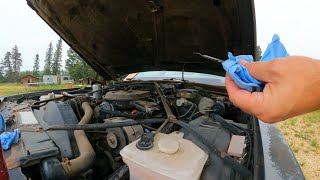 1988 Cadillac hasnt run in 16 years, can we make it idle and drive properly