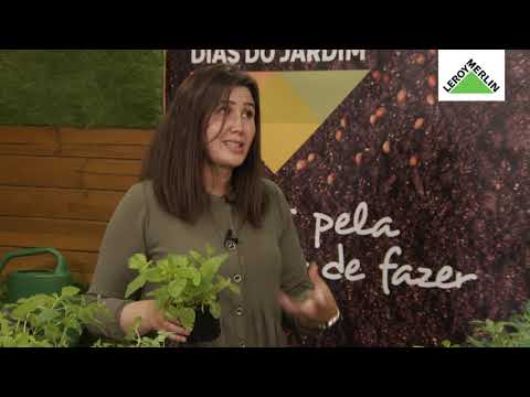 Vídeo: Cultivando um jardim de pizza: Cultive um jardim de ervas de pizza para crianças