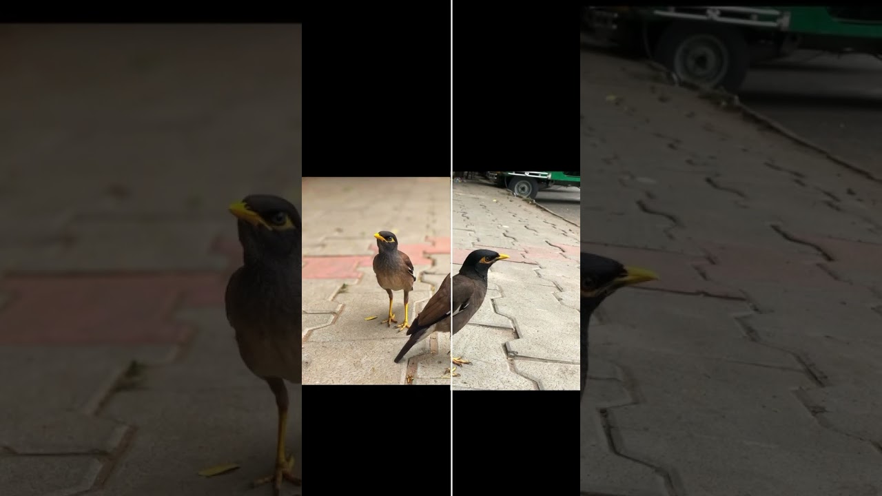 Shot & edited on iPhone 