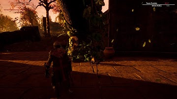 Team Predata   Interactive Foliage  2020 12 14 16 37 36