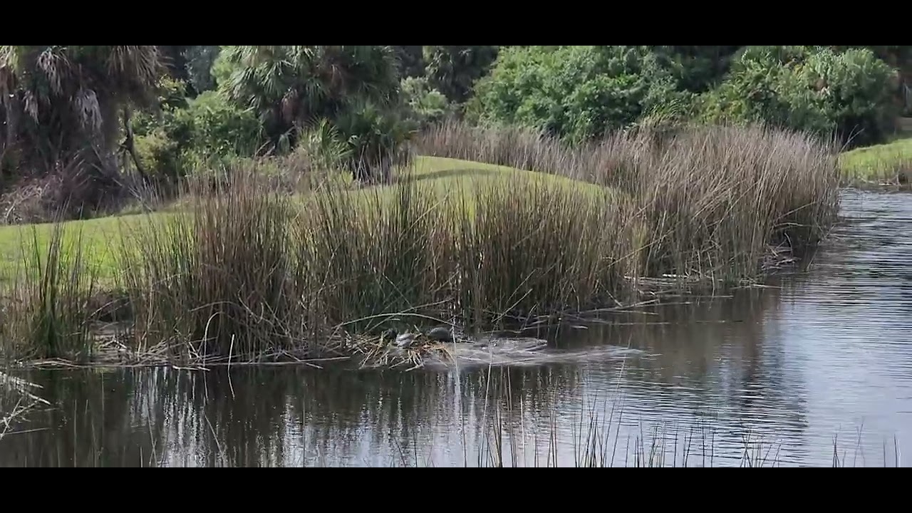 Regulators! Mount Up!! YouTube