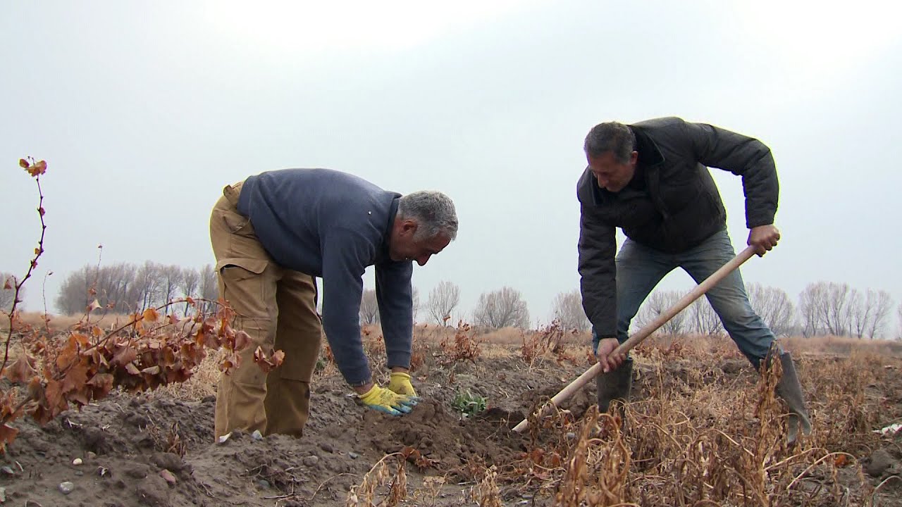 Խորոնք գյուղ