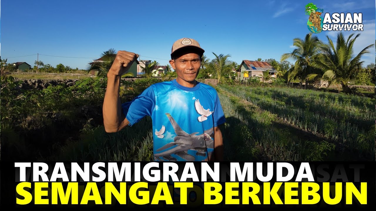 SEMANGAT MAS IRWAN BERKEBUN SAYUR DI LAHAN SETELAH PENANGGULAN SUPPORT DARI PAK @cheitokarno3654