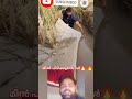 പുതിയ മീൻ പിടുത്തം #mallutraveler#fishingfreaks#shorts#mallu#malayalam#m4tech