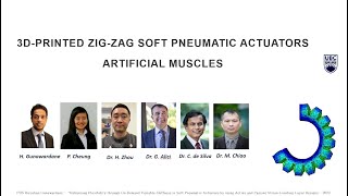 3D-printed Zig-zag Soft Pneumatic Actuators as Artificial Muscles  (Application 1) screenshot 1