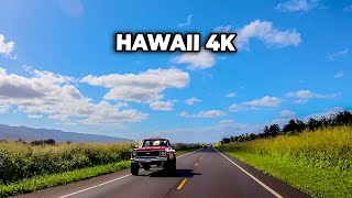 Exploring Hawaii Paradise | Driving Oahu to Haleiwa | Hawaii Road Trip