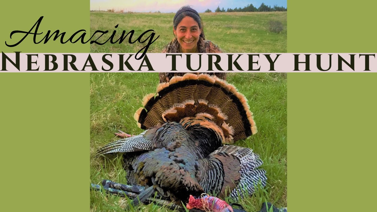 AMAZING TURKEY HUNT, HYBRID RIO/MERRIAM, Nebraska, Public Land, DIY