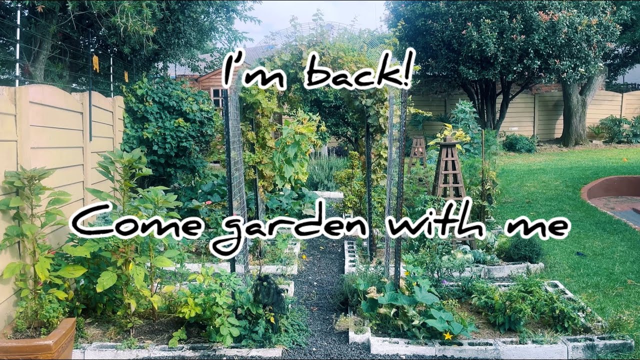 Let’s try again | Home gardening