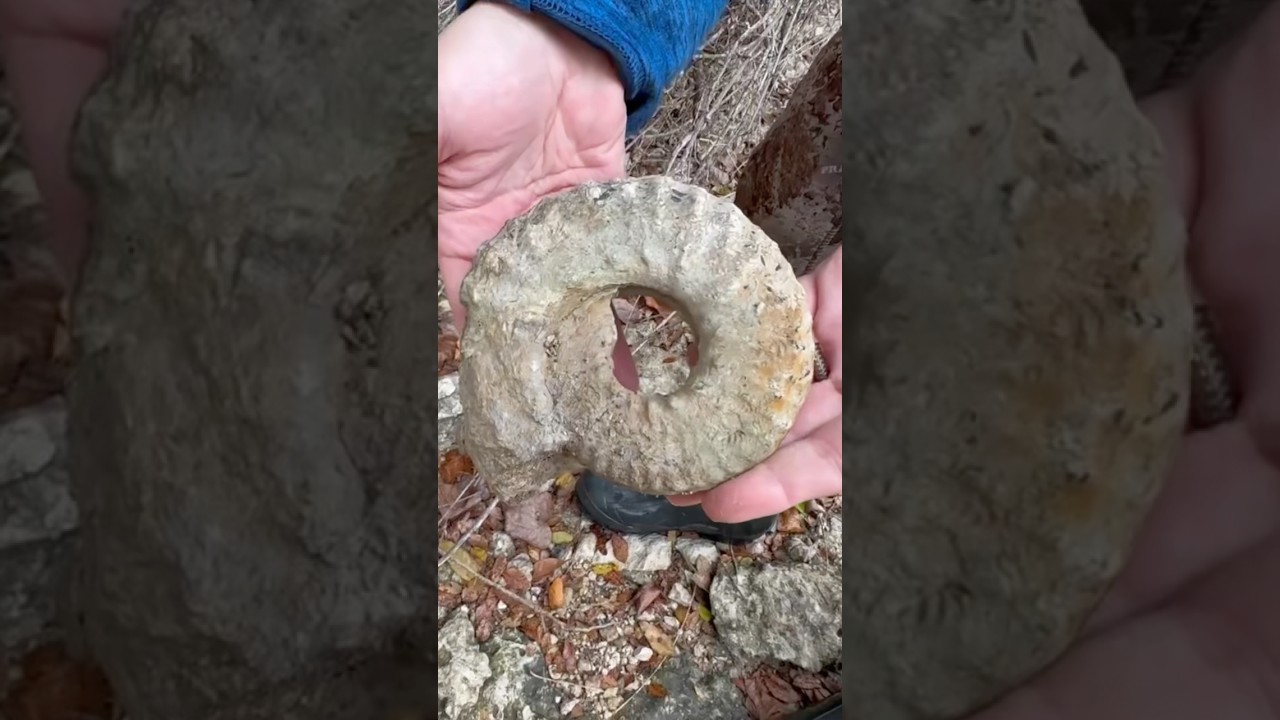 AMMONITE FOSSIL with the center missing found in North Texas Creek while 