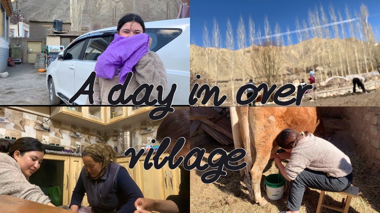 A day in over village 🥹it was a perfect day 😇#ladakhivlogger #ladakh  #villagelife #villagevlog
