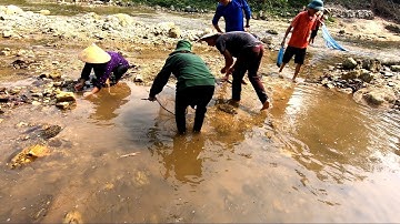 NGĂN DÒNG BẮT CÁ SUỐI VÀ ẤU TRÙNG CHUỒN CHUỒN