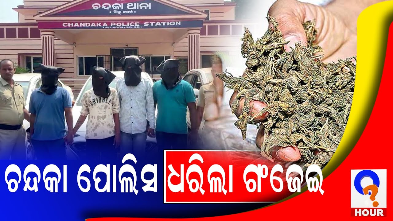 ଚନ୍ଦକା ପୋଲିସ ଧରିଲା ଗଂଜେଇ \\ Chandka Police caught Ganjai