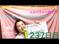【237日目】　#虫  ■ 蜂の巣　■ スズメバチ　■ てんとう虫をエスペラント語で‼️  #暗記 #語学 #蜂の巣 #スズメバチ #てんとう虫 #エンジェルナンバー #237 #スピリチュアル