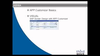 SAP Business One Advanced Productivity Pack Customizer Training Basics
