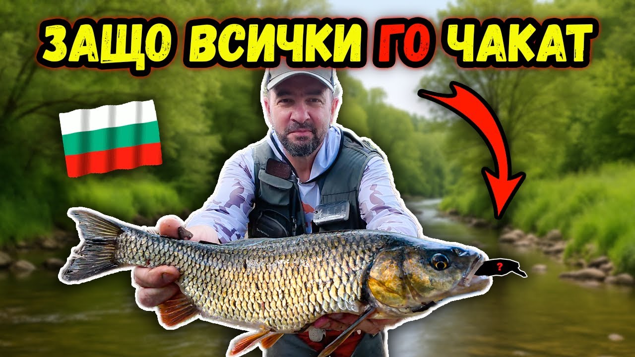 БЪЛГАРСКОТО ЧУДО CC28 ПРЕОБРЪЩА ИГРАТА! Разбиващ риболов на кефали на река Блато на воблер