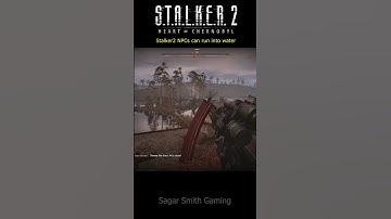 Stalker 2 NPCs can run into water, and We can
