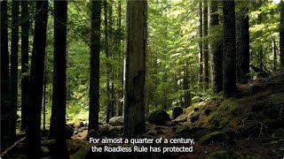 Roadless Rule