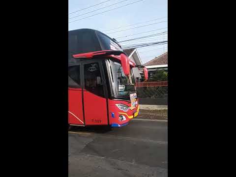 Permata Wisata: Menggali Pesona Bus Pariwisata yang Tak Hanya Sekadar Kendaraan