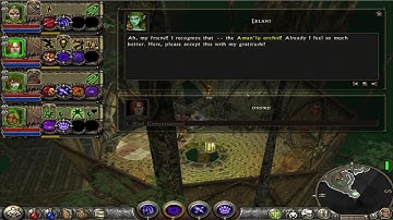 Memory-Lane Part 3 : Dungeon Siege 2 : Part 80 Lelani