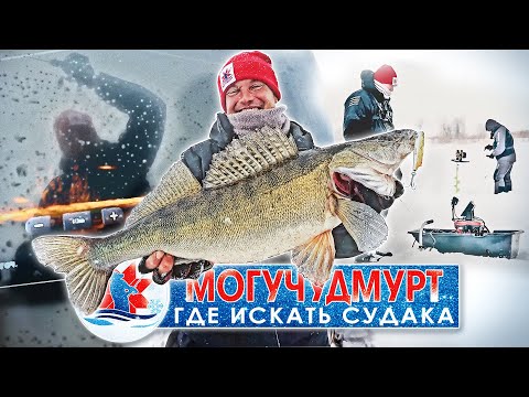 ГДЕ ИСКАТЬ и КАК ПОЙМАТЬ СУДАКА зимой? ЛАЙФХАКИ на зимней рыбалке! Рыбопоисковая электроника на льду