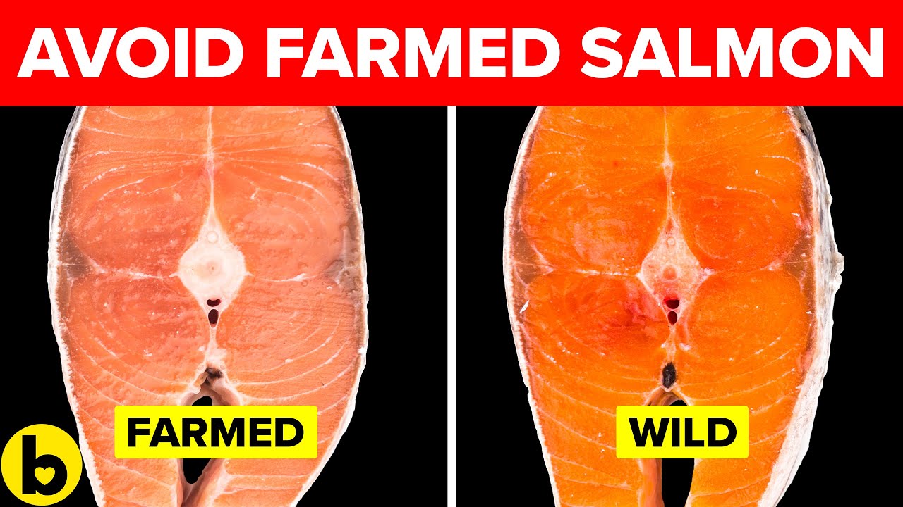 Farmed Salmon and 6 other Toxic Foods that are Destroying your Health