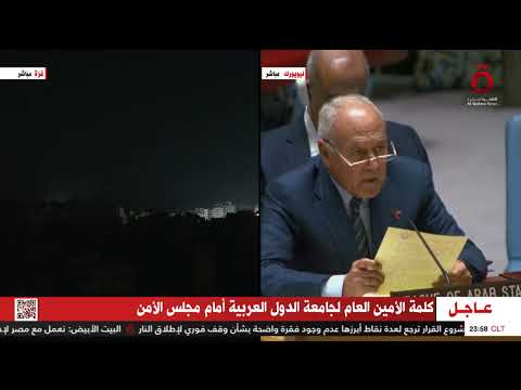 أمين عام الجامعة العربية الصراع الفلسطيني الإسرائيلي لم يبدأ في 7 أكتوبر
