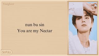 THE BOYZ 'Nectar' Easy Lyrics