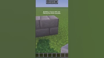 Day 2 of building a house with only placing one block everyday